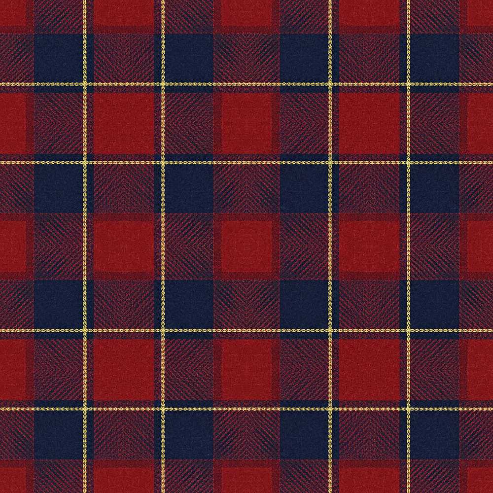 Deep Red Blue Classic Check Tartan Texture Art