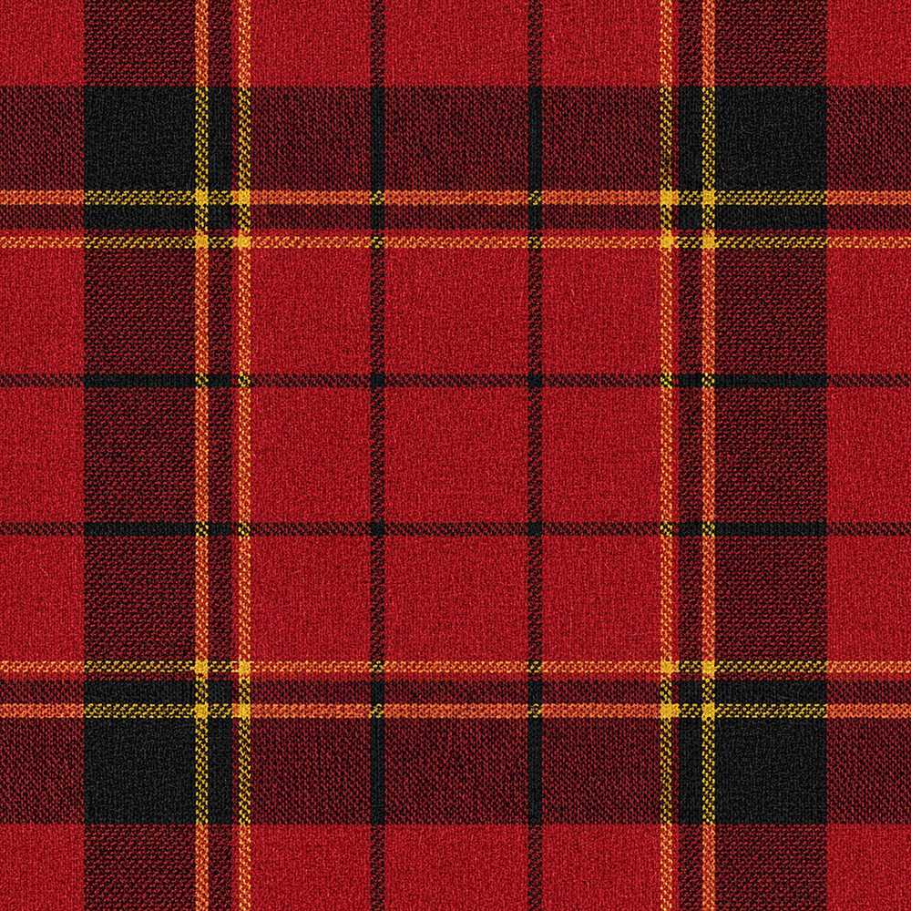 Bold Red Black Classic Tartan Plaid Texture Art
