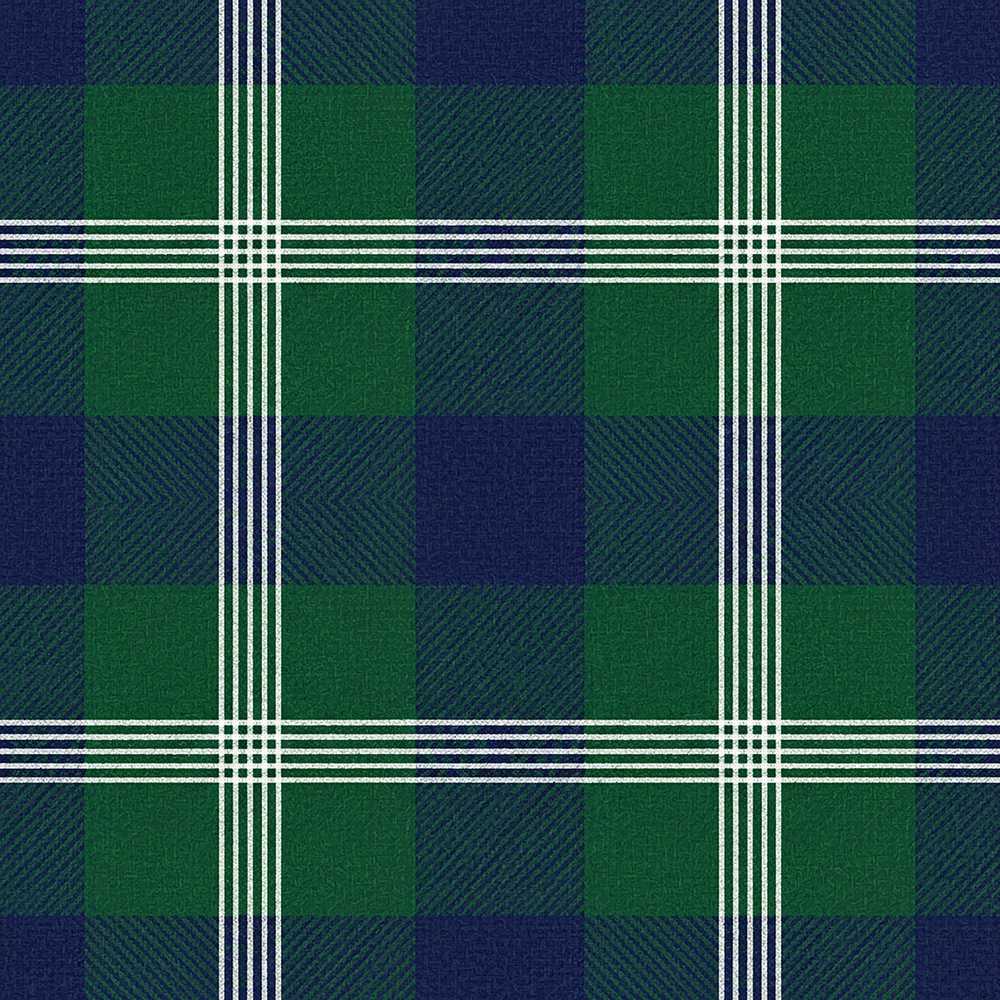 Green Blue Modern Tartan Plaid Texture Art Pattern