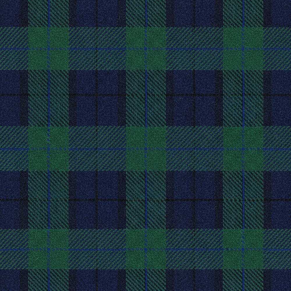 Deep Green Navy Classic Tartan Plaid Texture Art