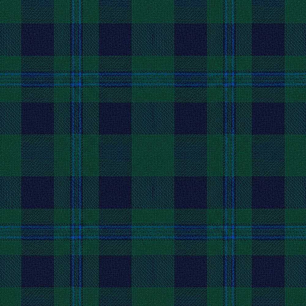 Dark Green Blue Traditional Tartan Plaid Texture Art