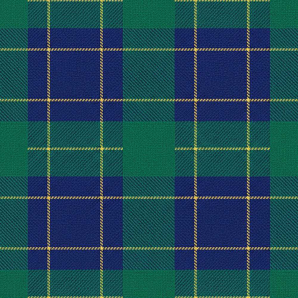 Blue Green Gold Traditional Tartan Plaid Texture Art