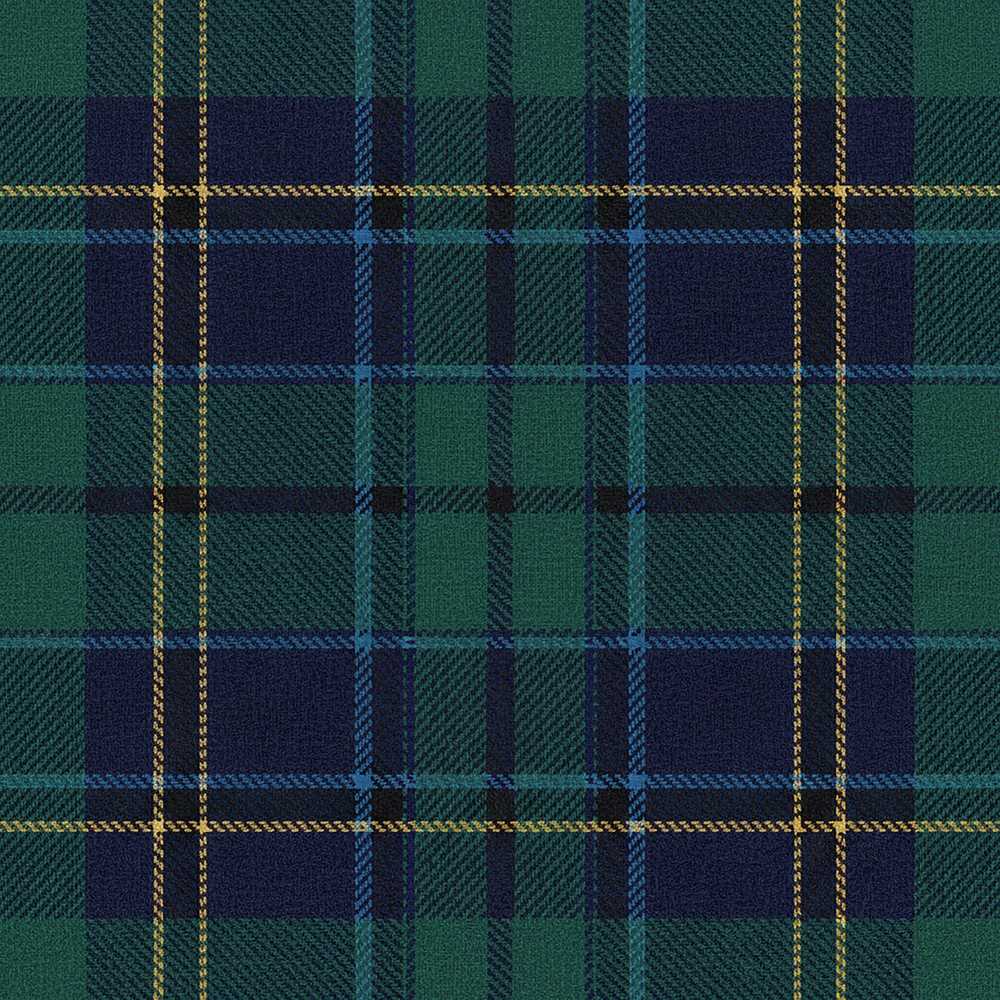 Deep Green Navy Gold Classic Tartan Plaid Texture