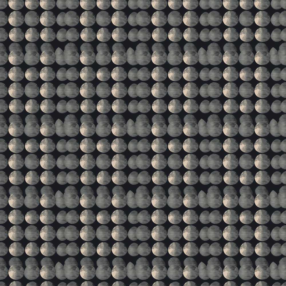 Monochrome Moon Phase Circle Pattern on Black Background