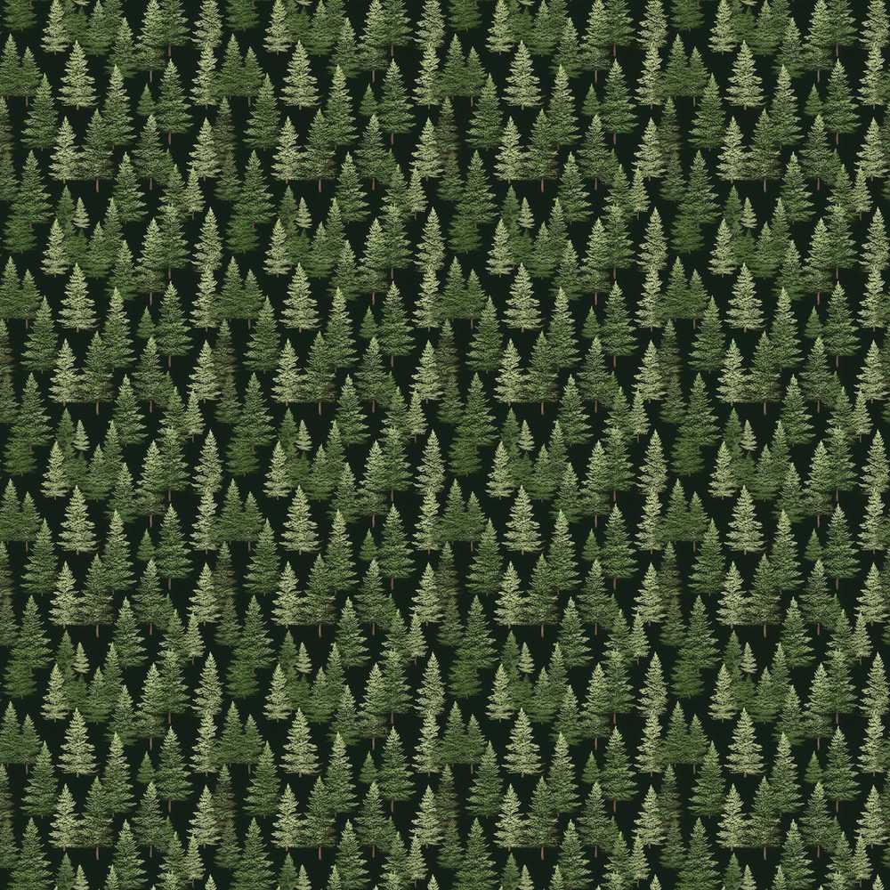 Realistic Evergreen Forest Trees Deep Nature Woodland Decorative