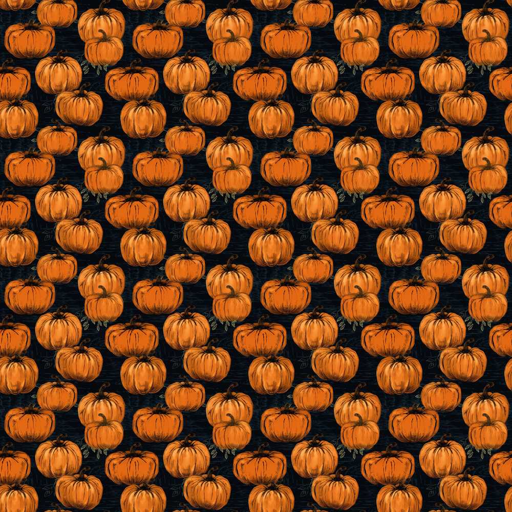 Hand Drawn Pumpkins on Dark Textured Background Autumn